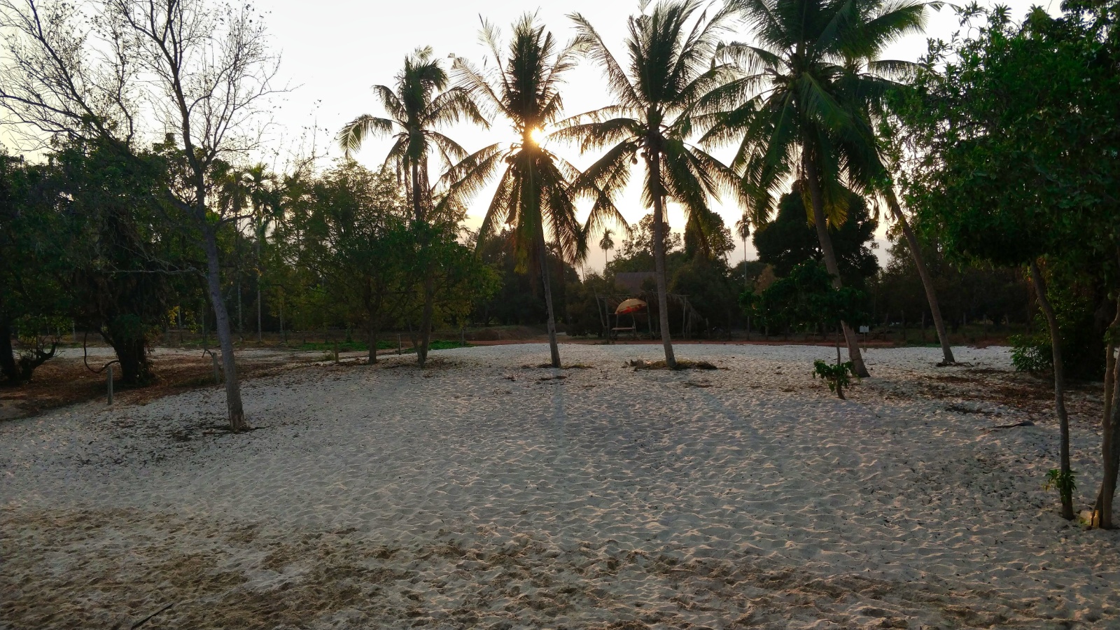 IMG 20190227 172554(1)