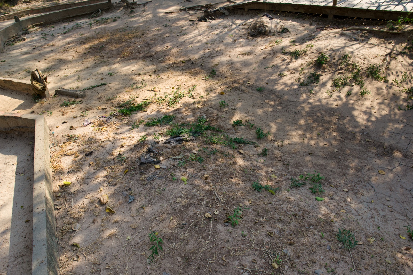 DSC02376