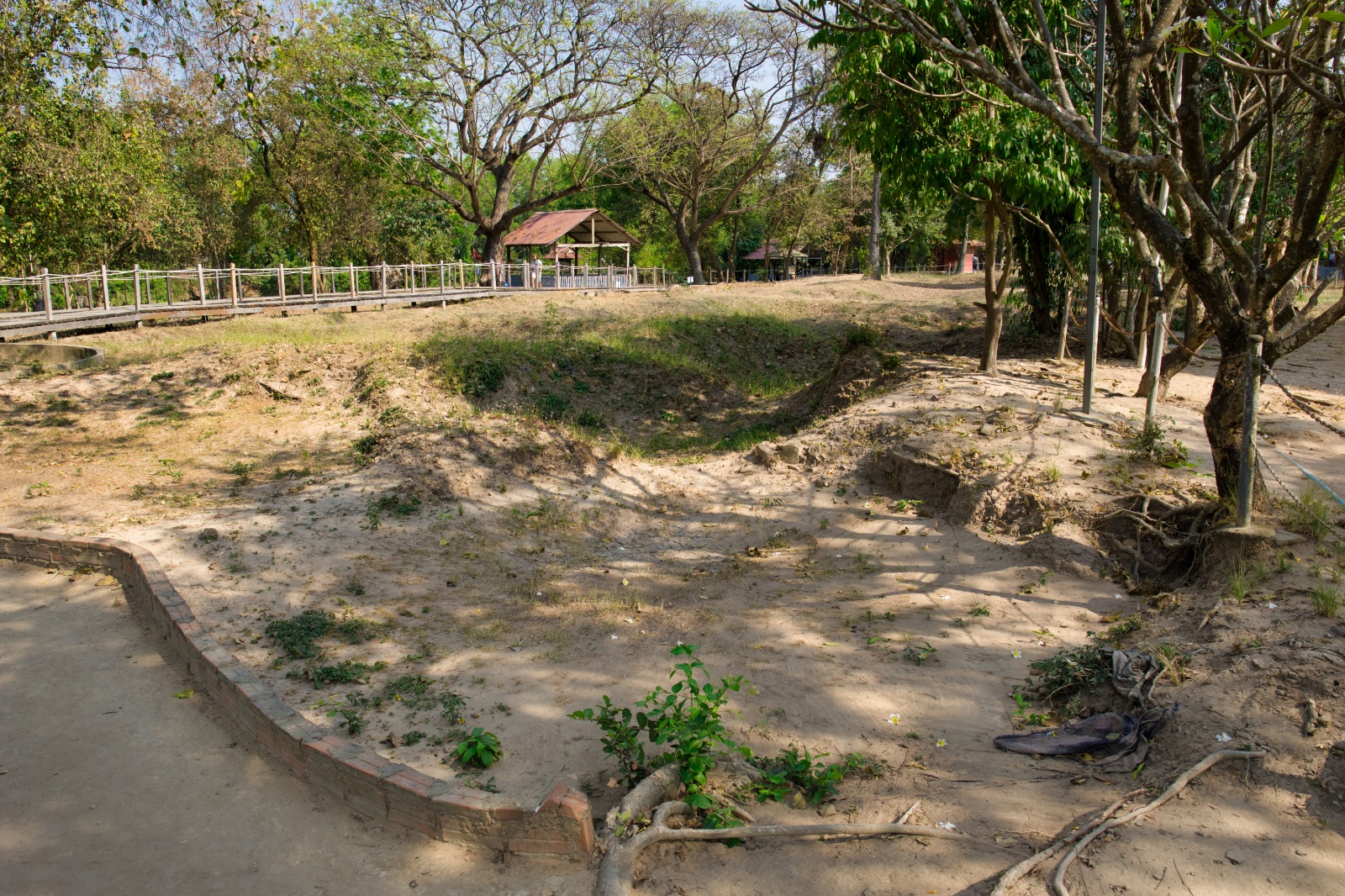 DSC02377