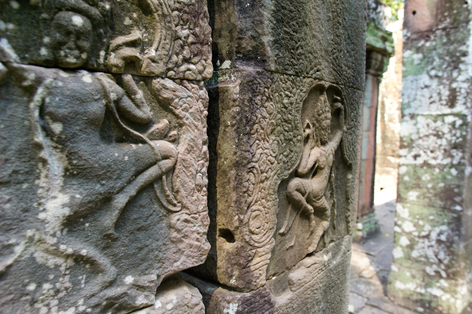 DSC01742