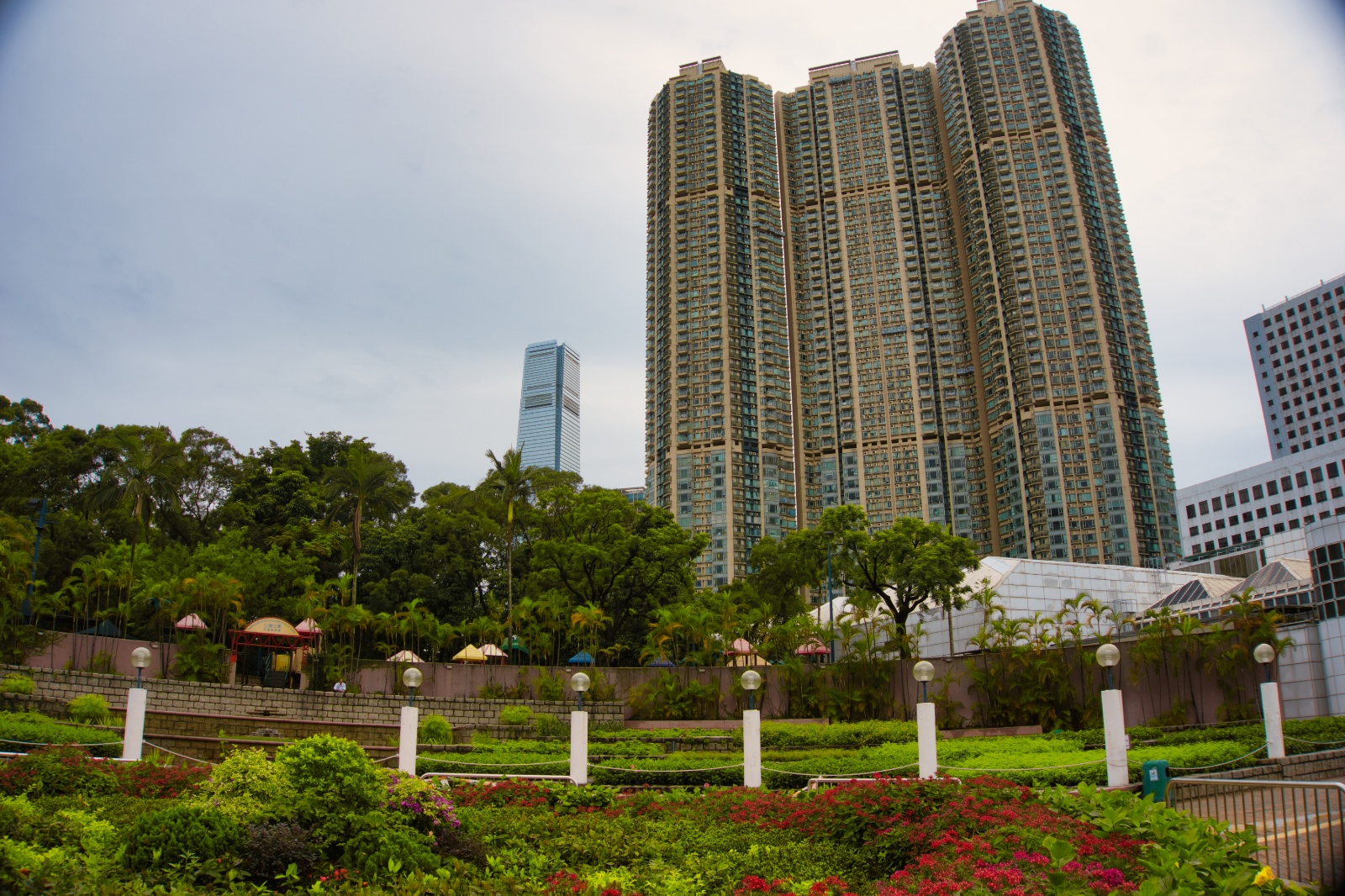 DSC06443