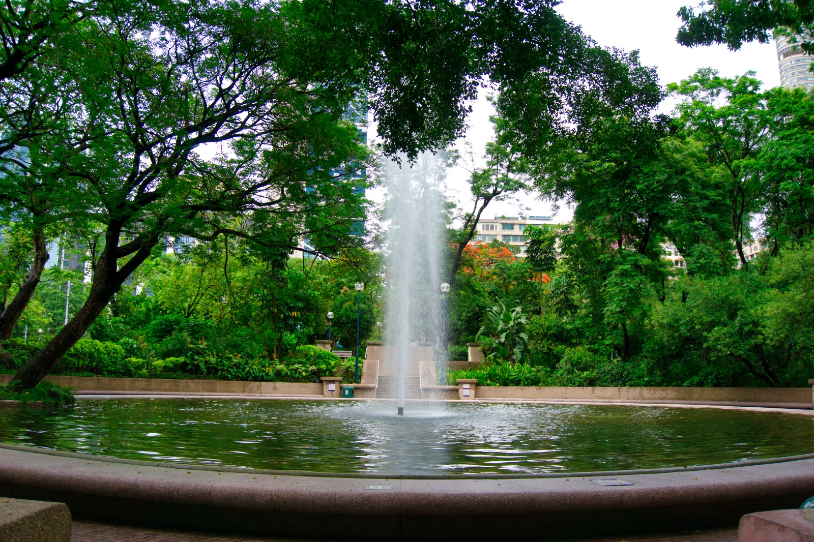 DSC06487