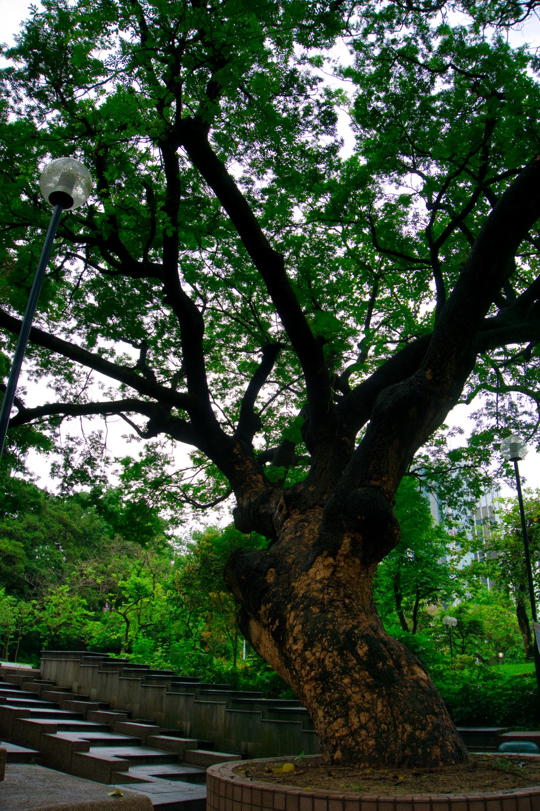 DSC06488