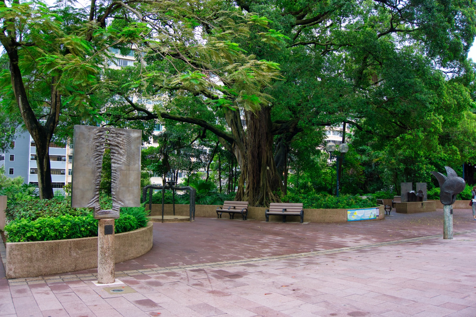 DSC06492 3