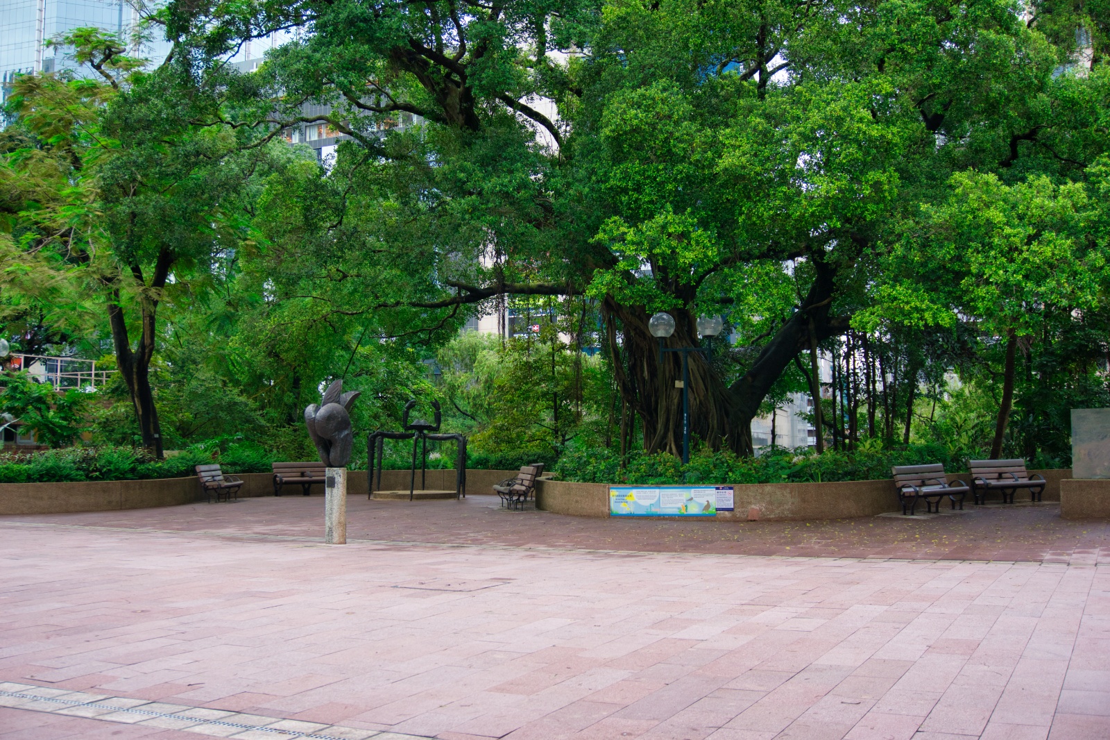 DSC06496 7