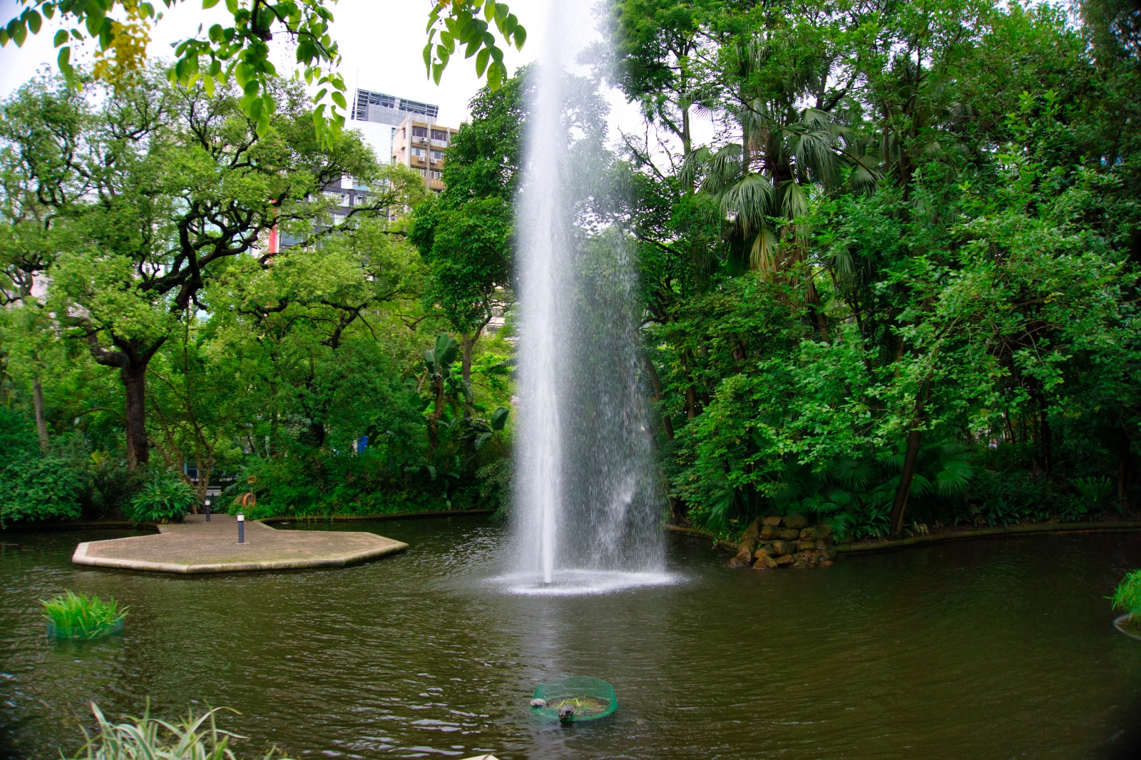 DSC06501 9