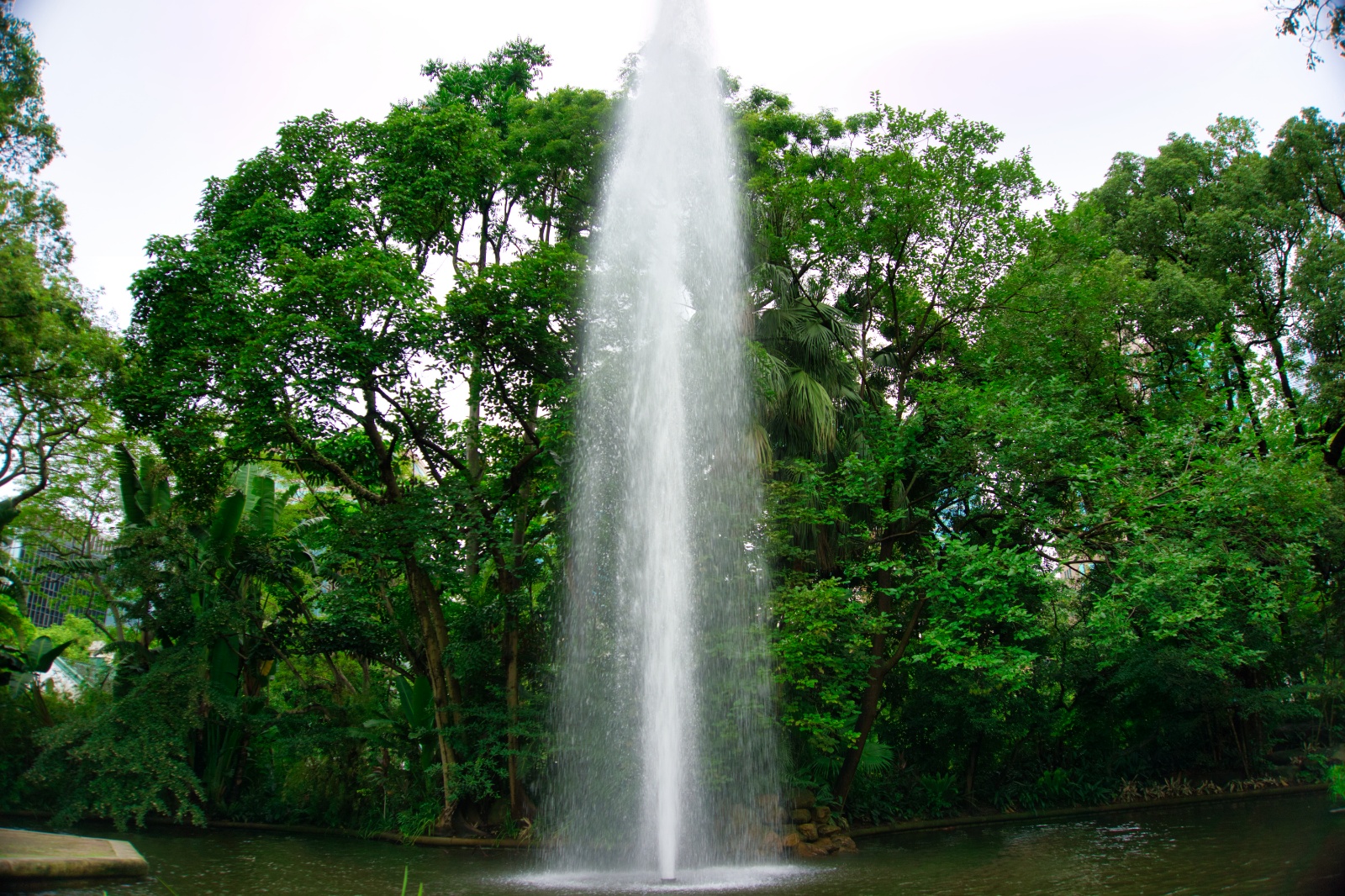 DSC06506 12