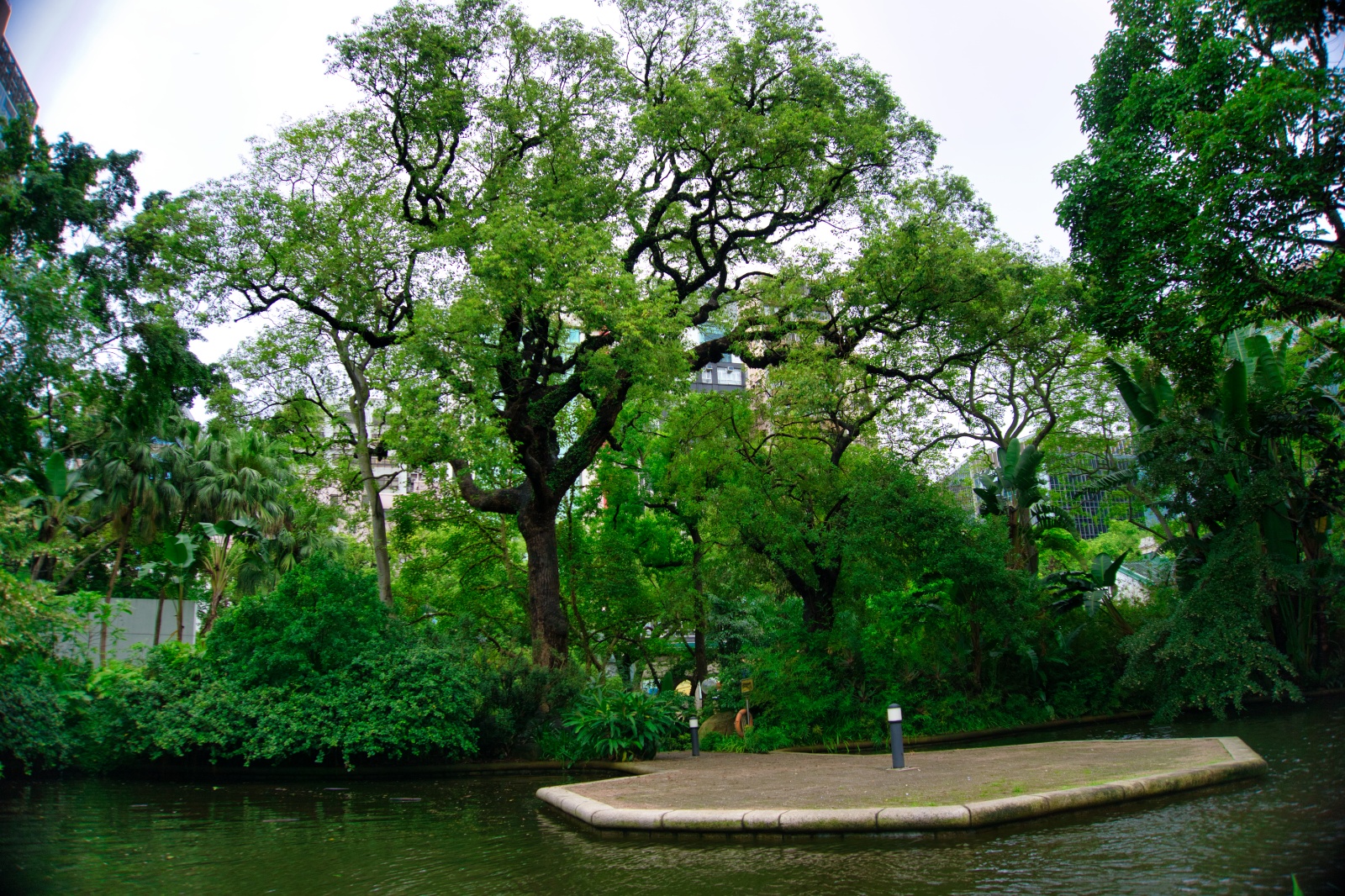 DSC06508 1