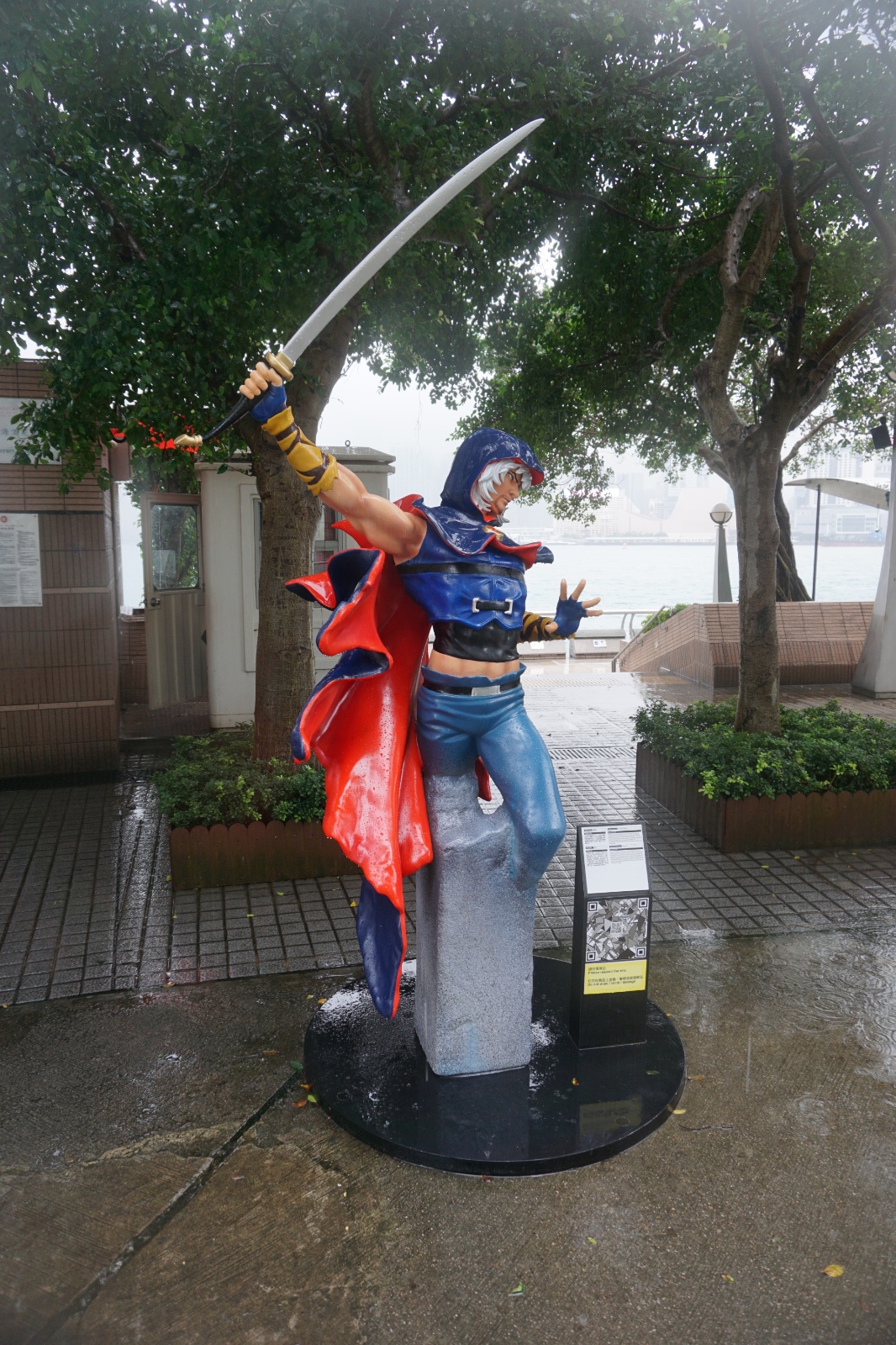DSC06530