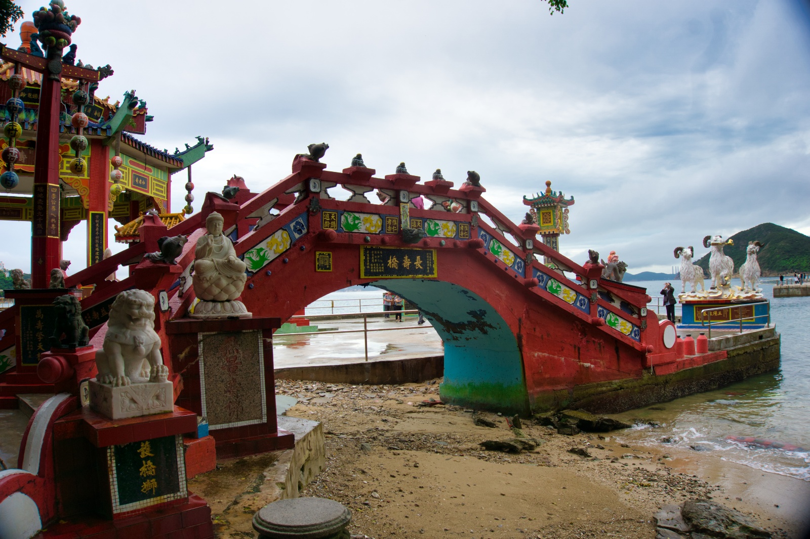 DSC06606