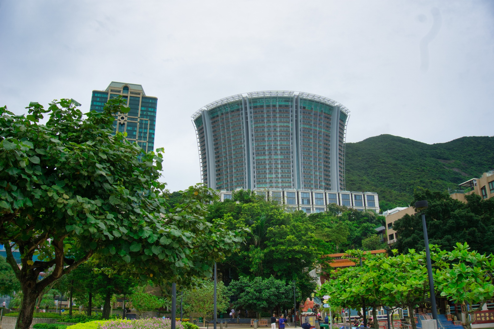 DSC06636