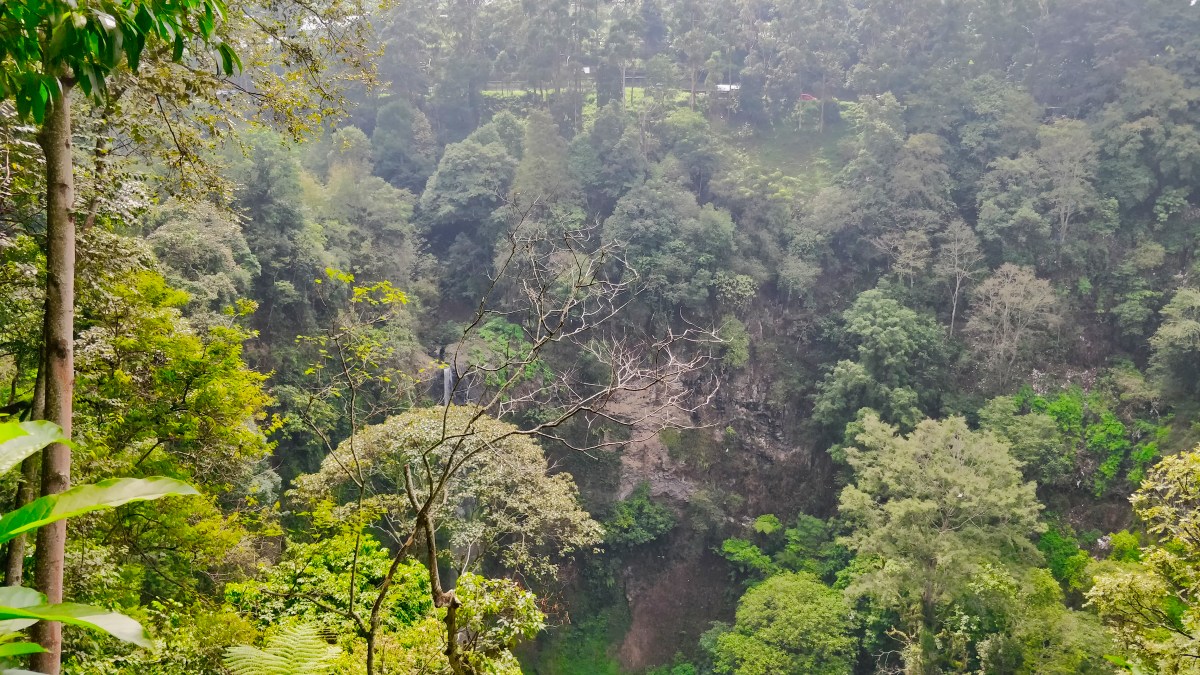 IMG 20181113 092733 2