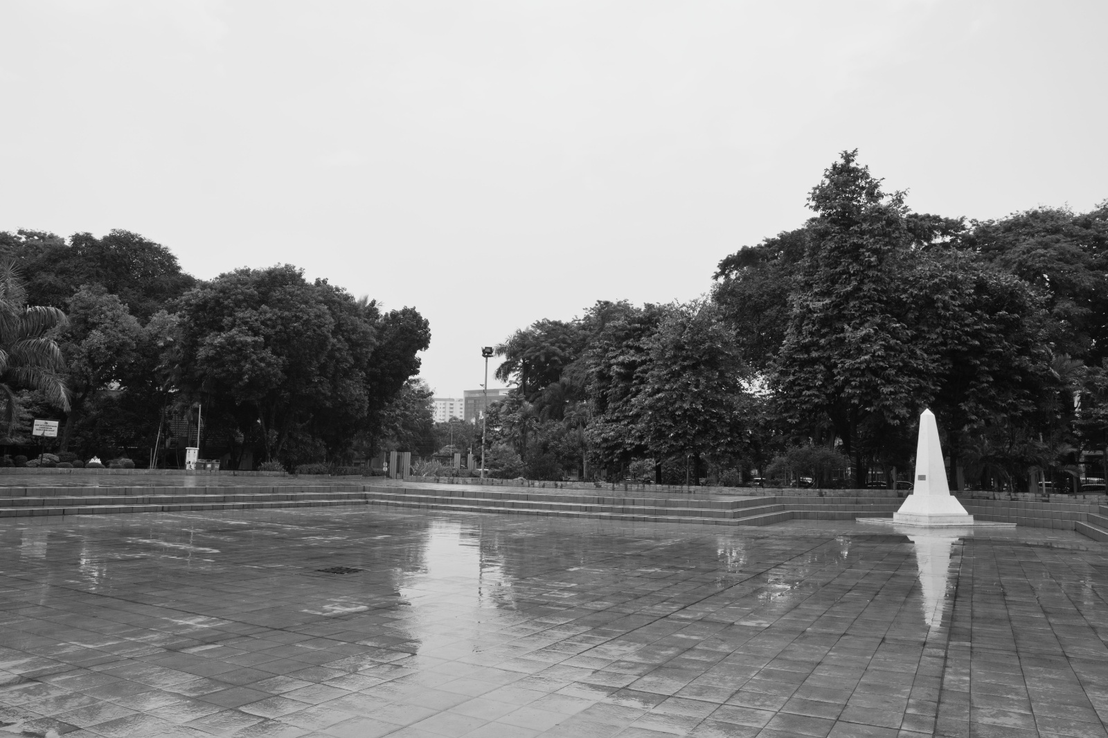DSC00241 bw