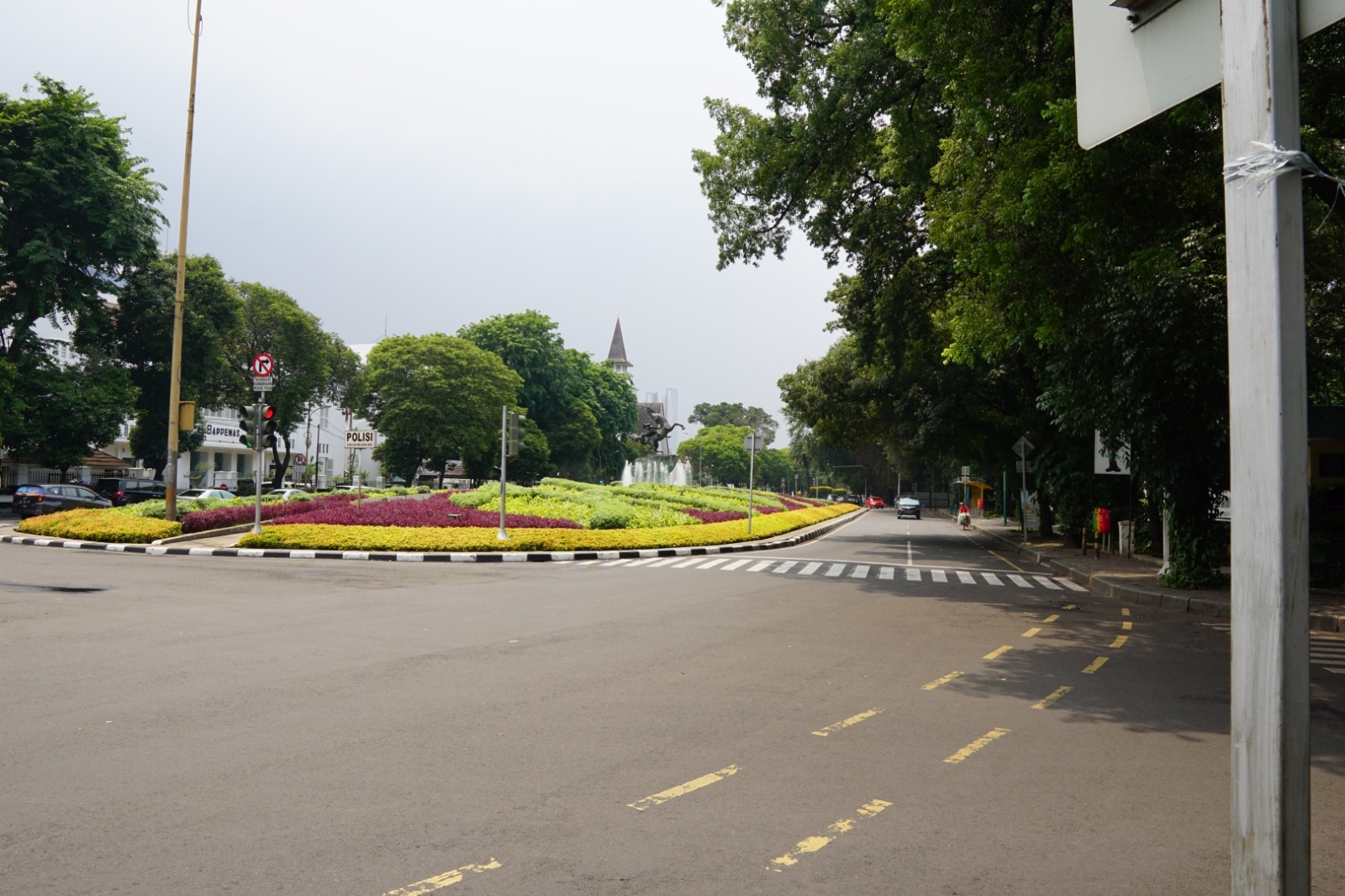 DSC00245