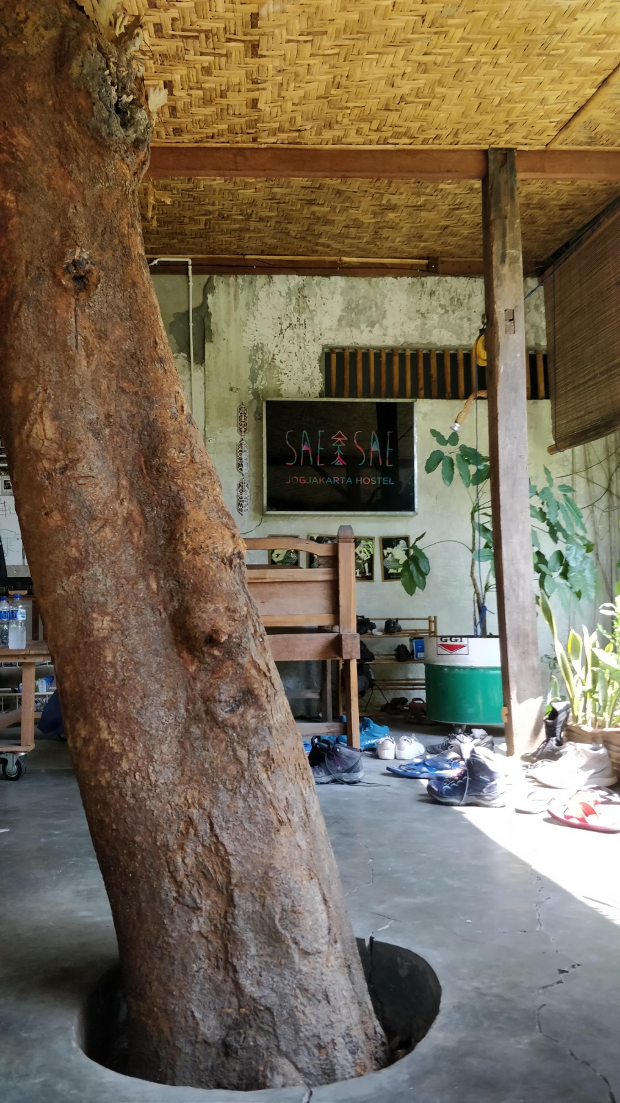 IMG 20181119 093649