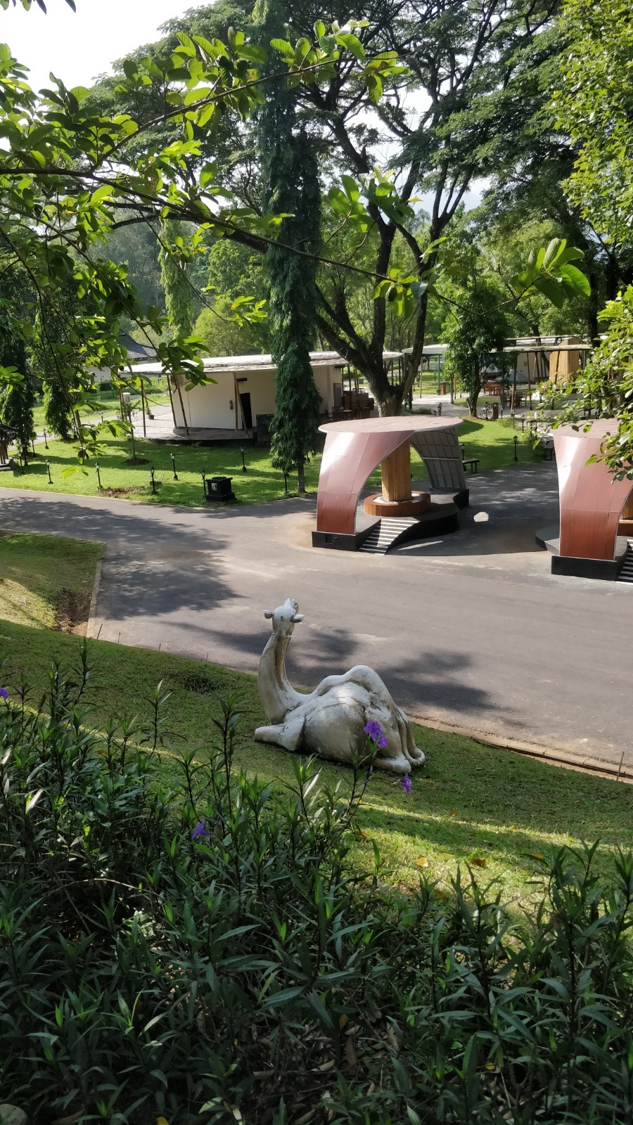IMG 20181121 080031