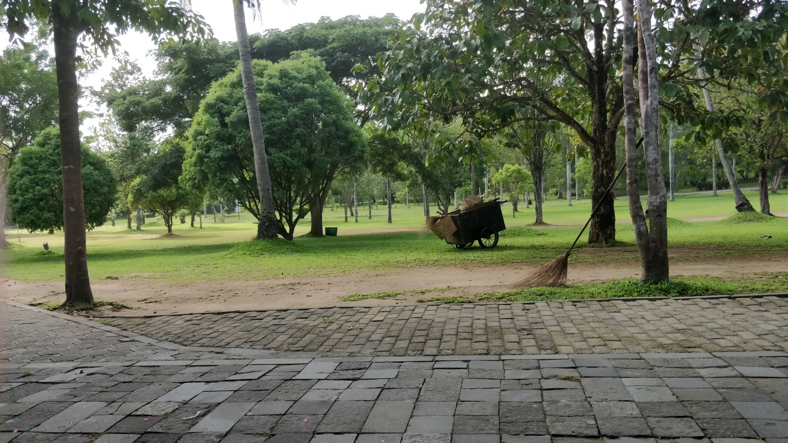 IMG 20181121 081413