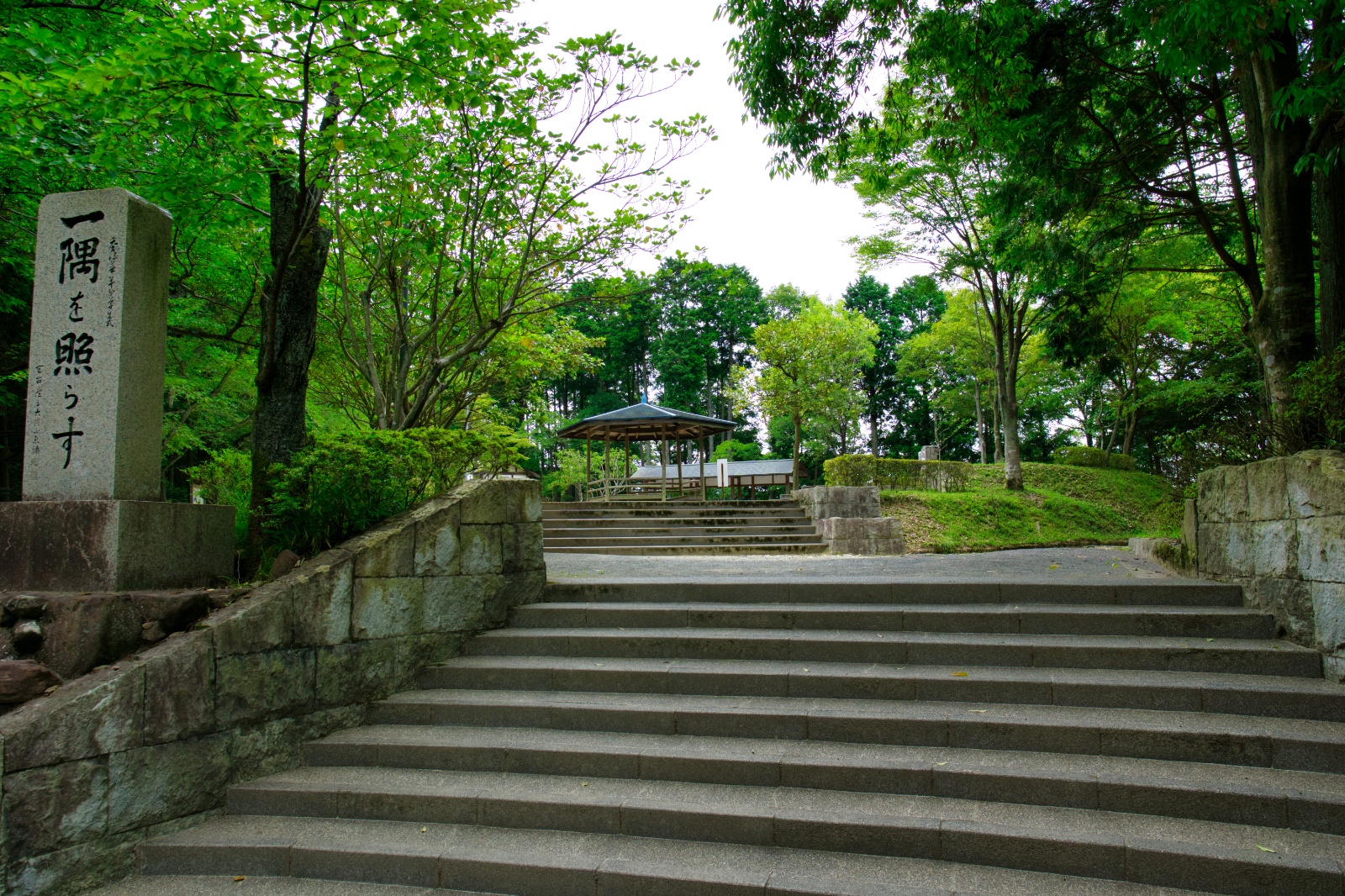 DSC08516