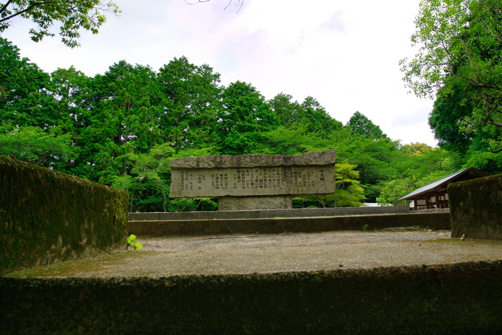 DSC08518