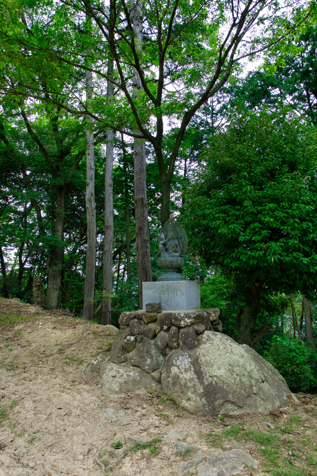 DSC08525
