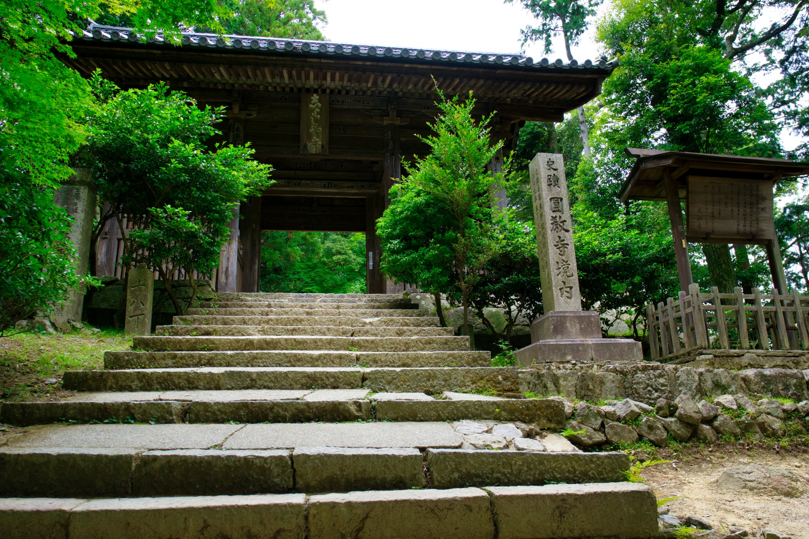 DSC08567
