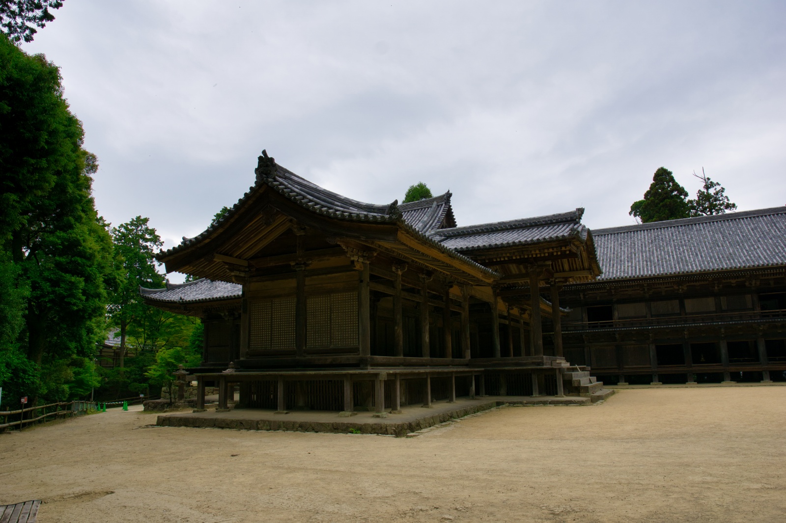 DSC08641