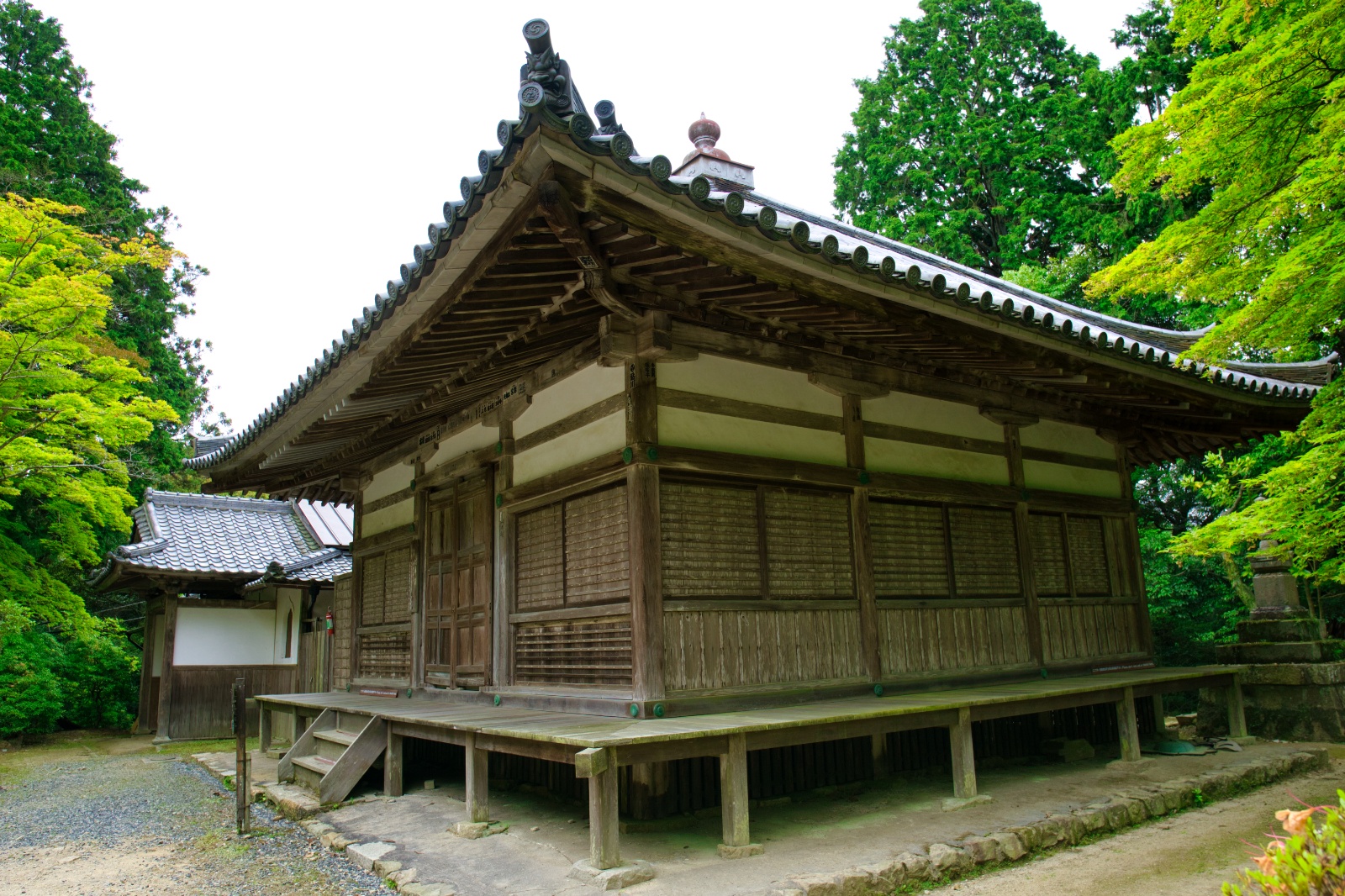 DSC08731