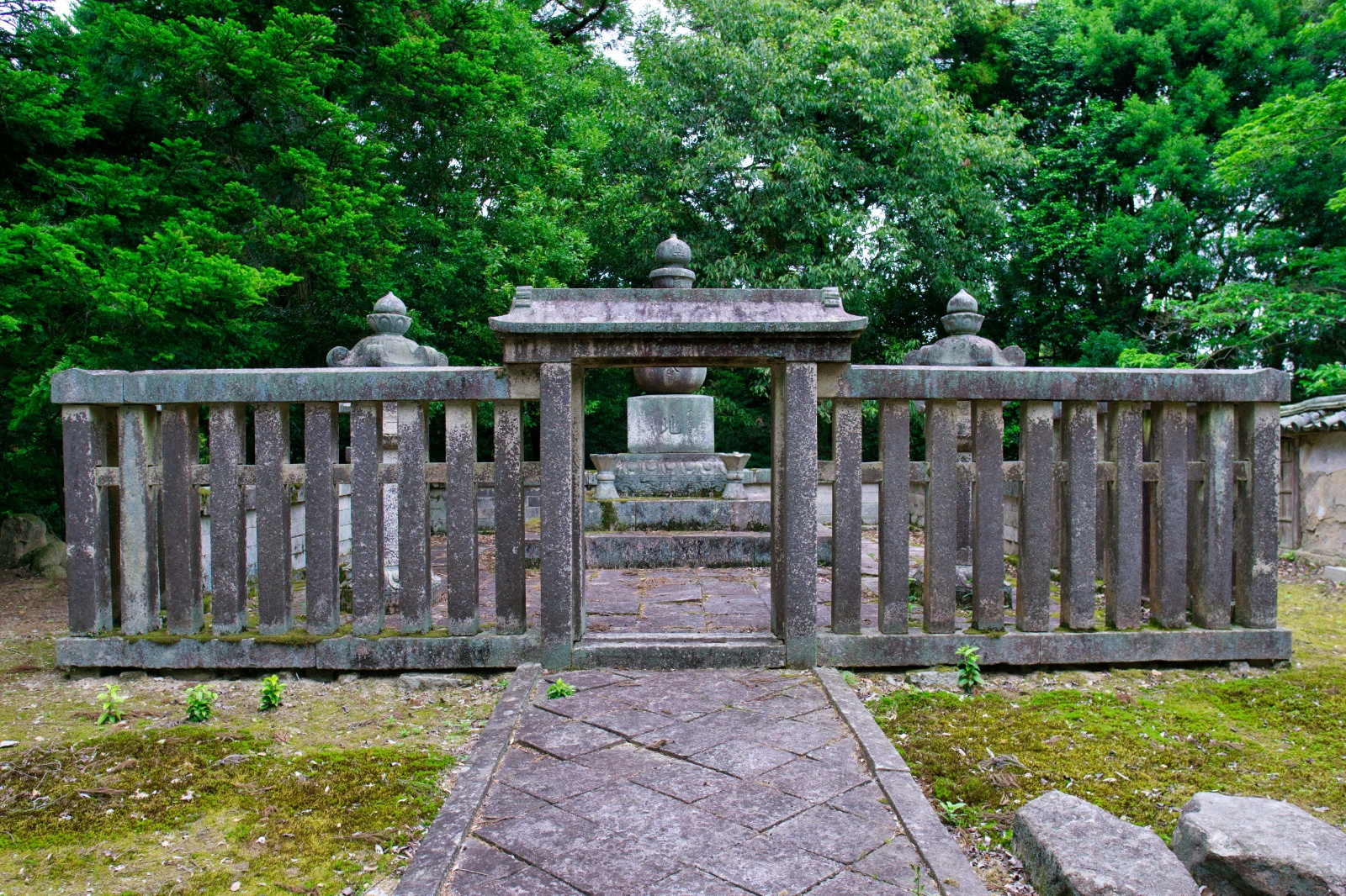 DSC08785