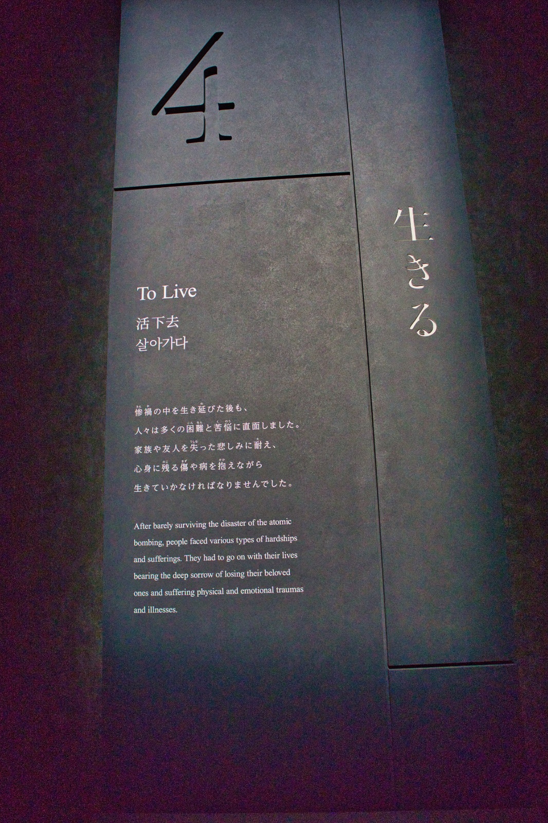 DSC09114