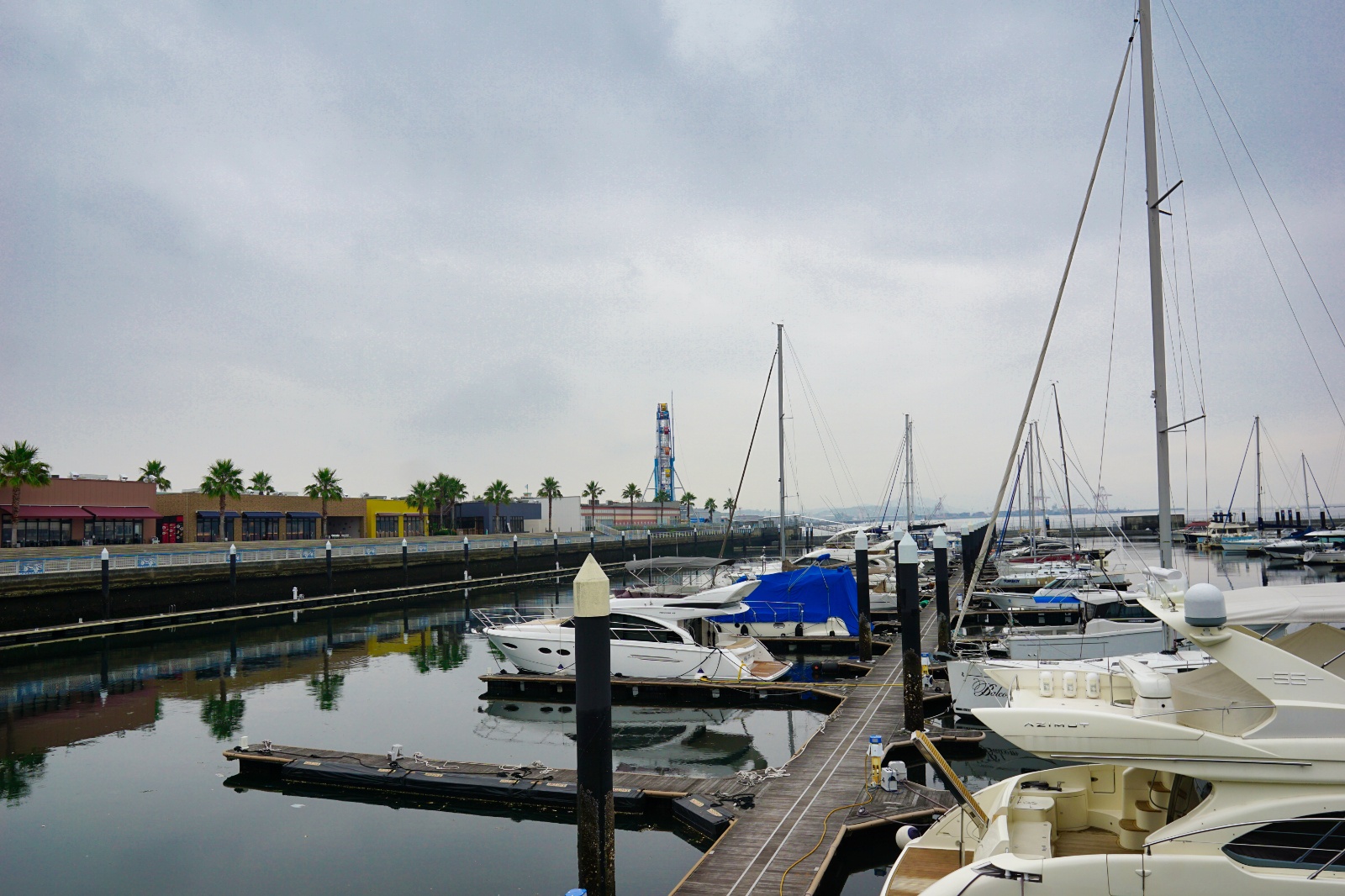 DSC09224