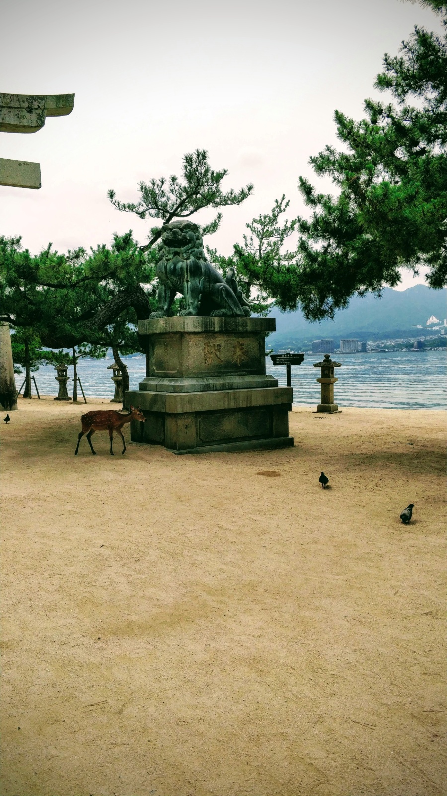 IMG 20190705 141335 01 EFFECTS