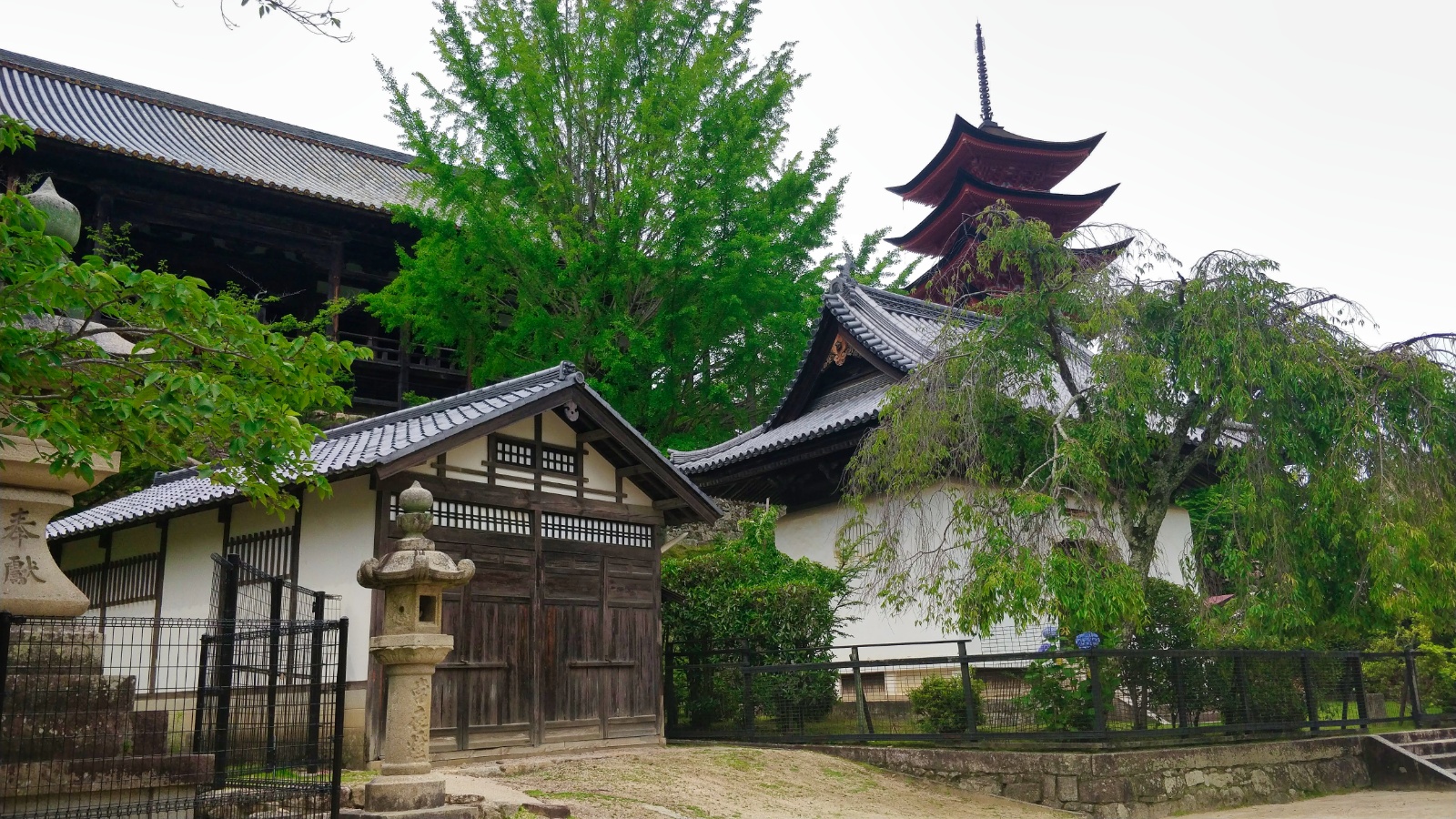 IMG 20190705 142413(1)