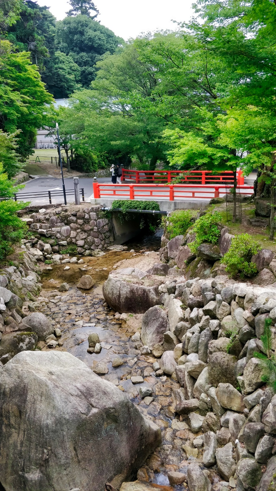 IMG 20190705 143608