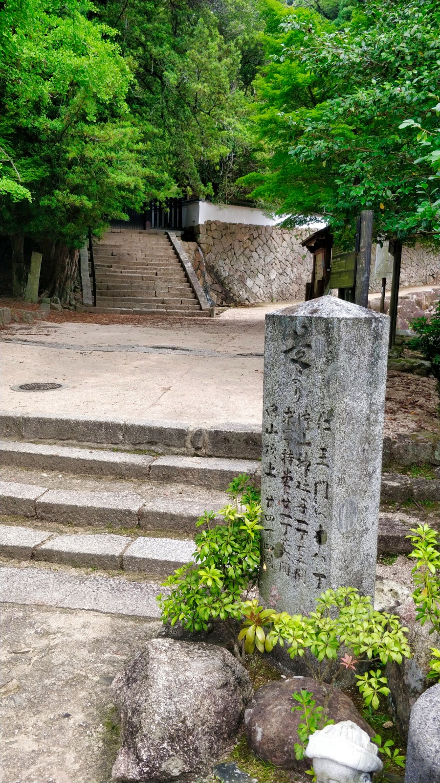 IMG 20190705 143654