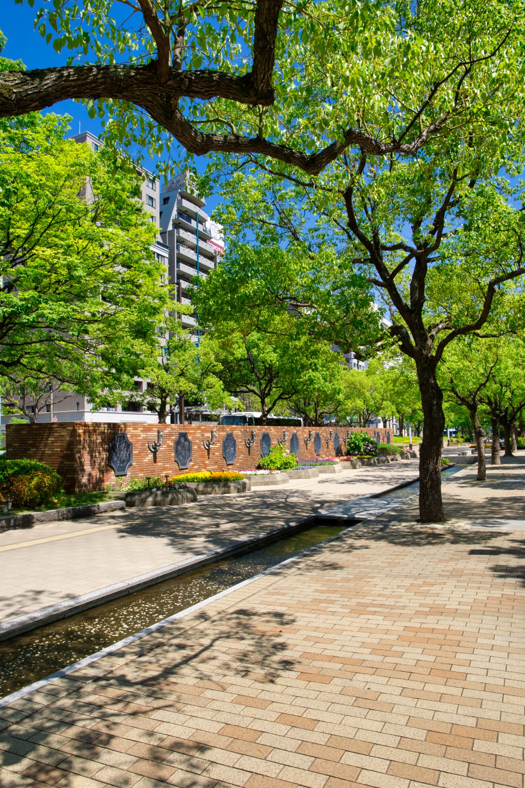 DSC08291