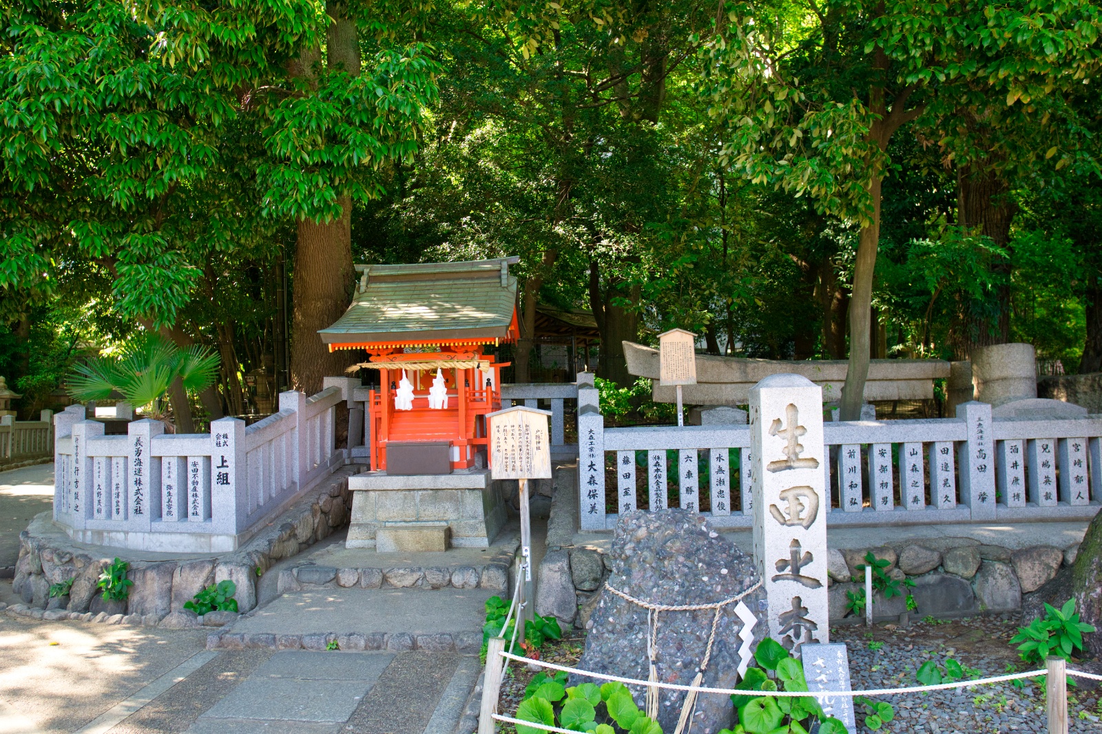 DSC08341