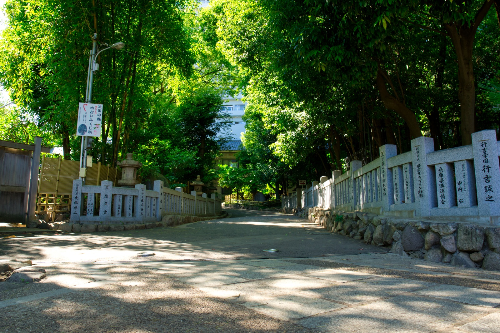 DSC08342