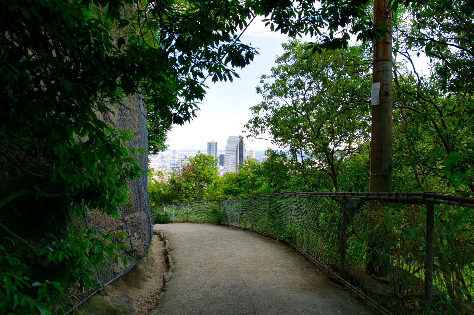 DSC08429