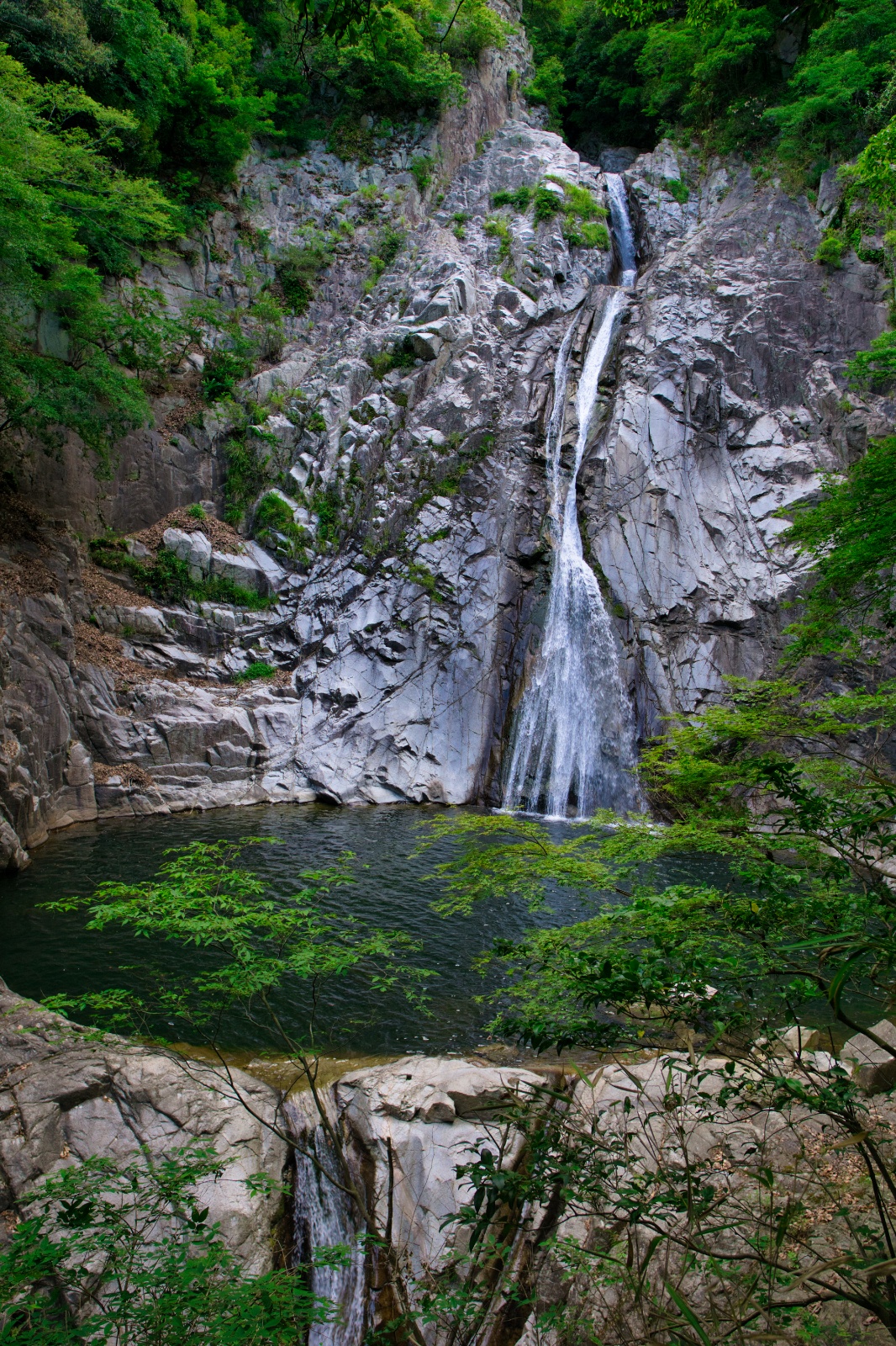 DSC08438