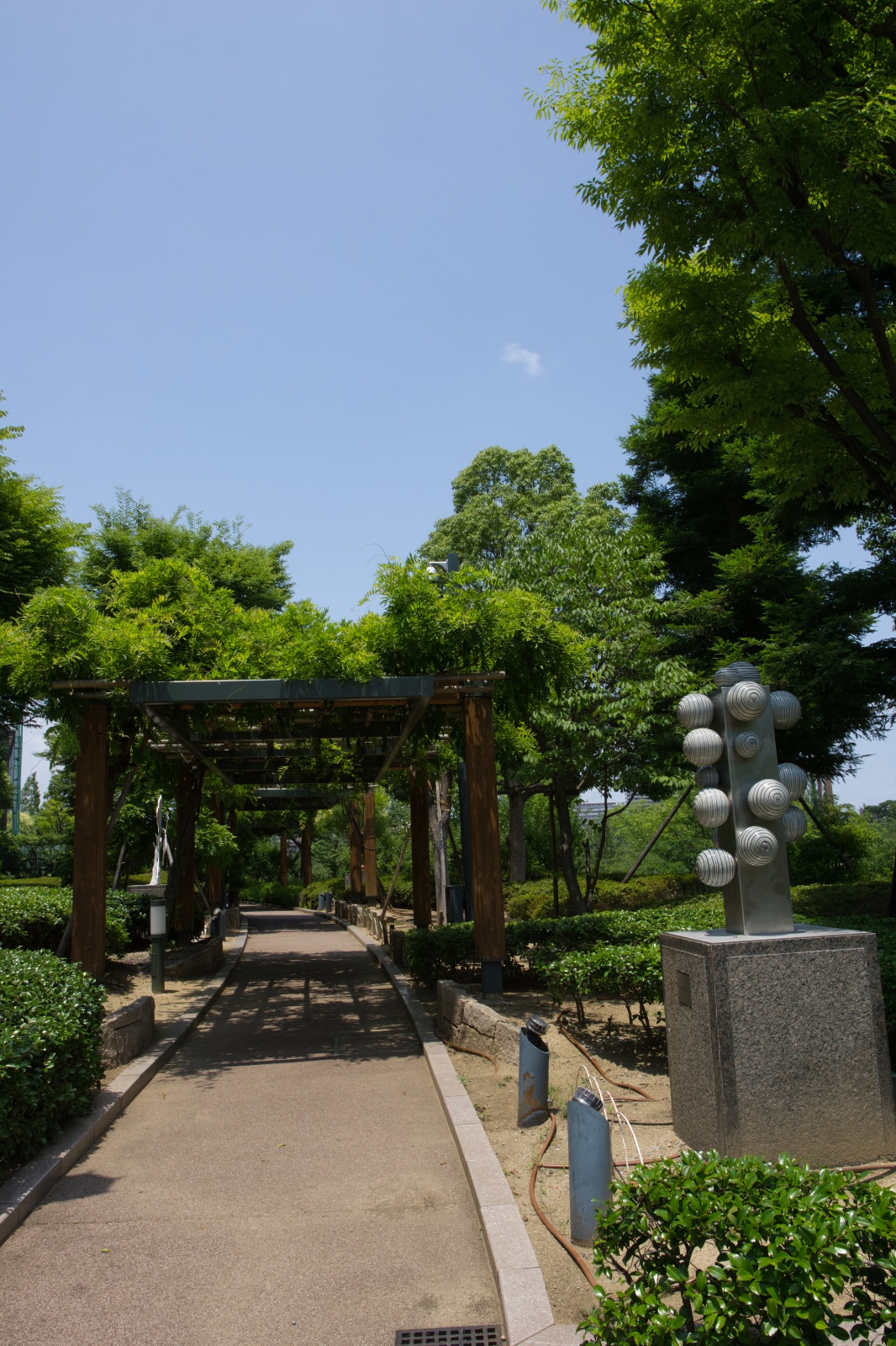 DSC08115