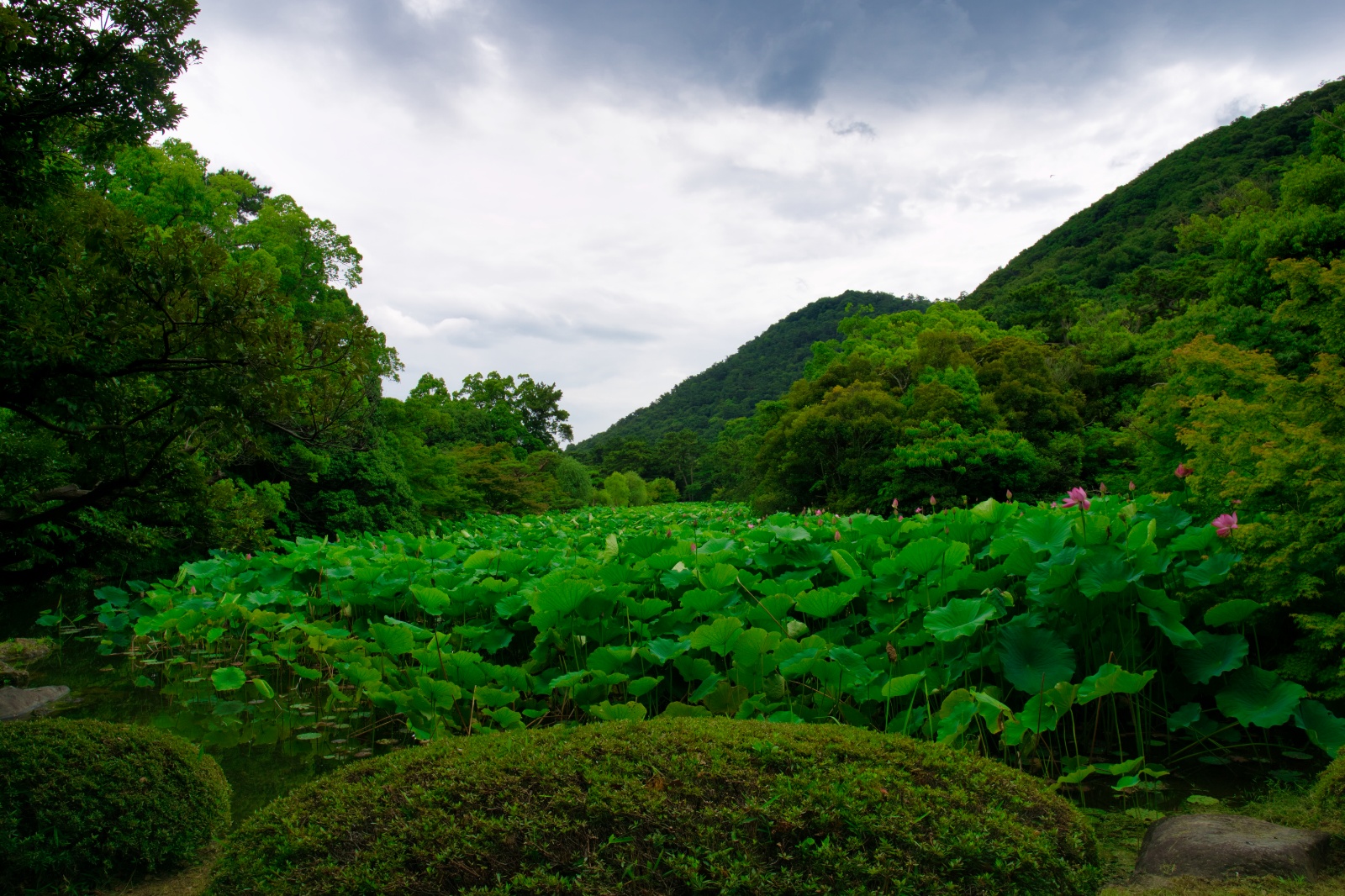 DSC08867