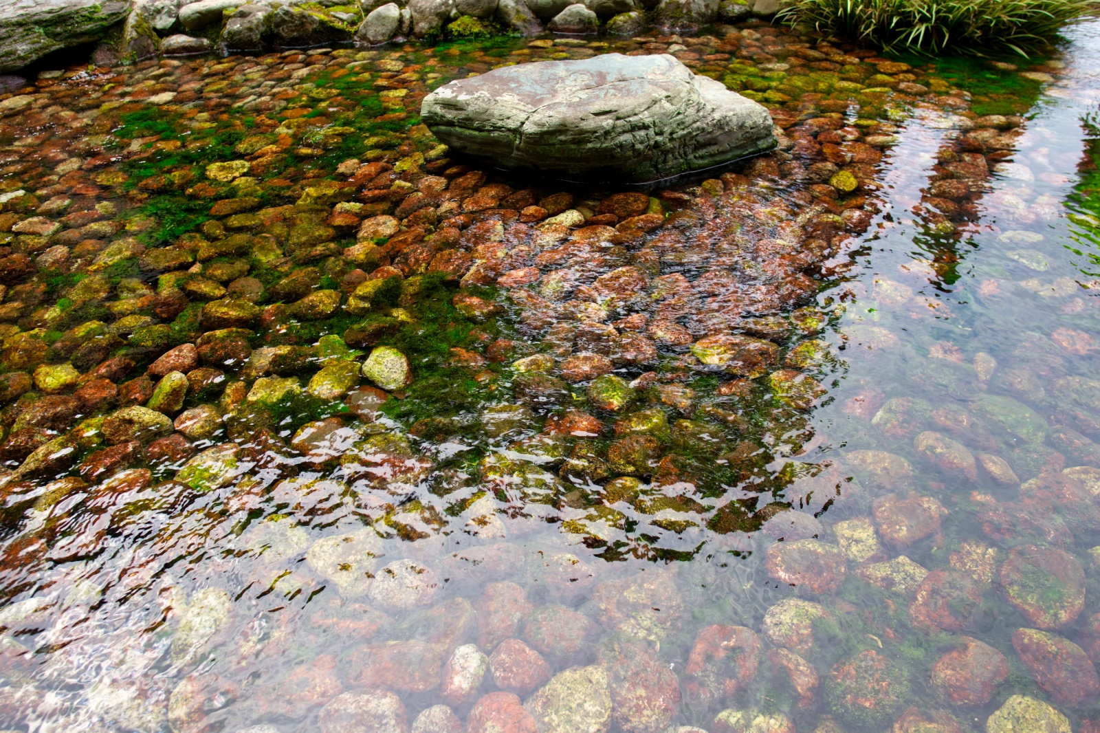 DSC09054