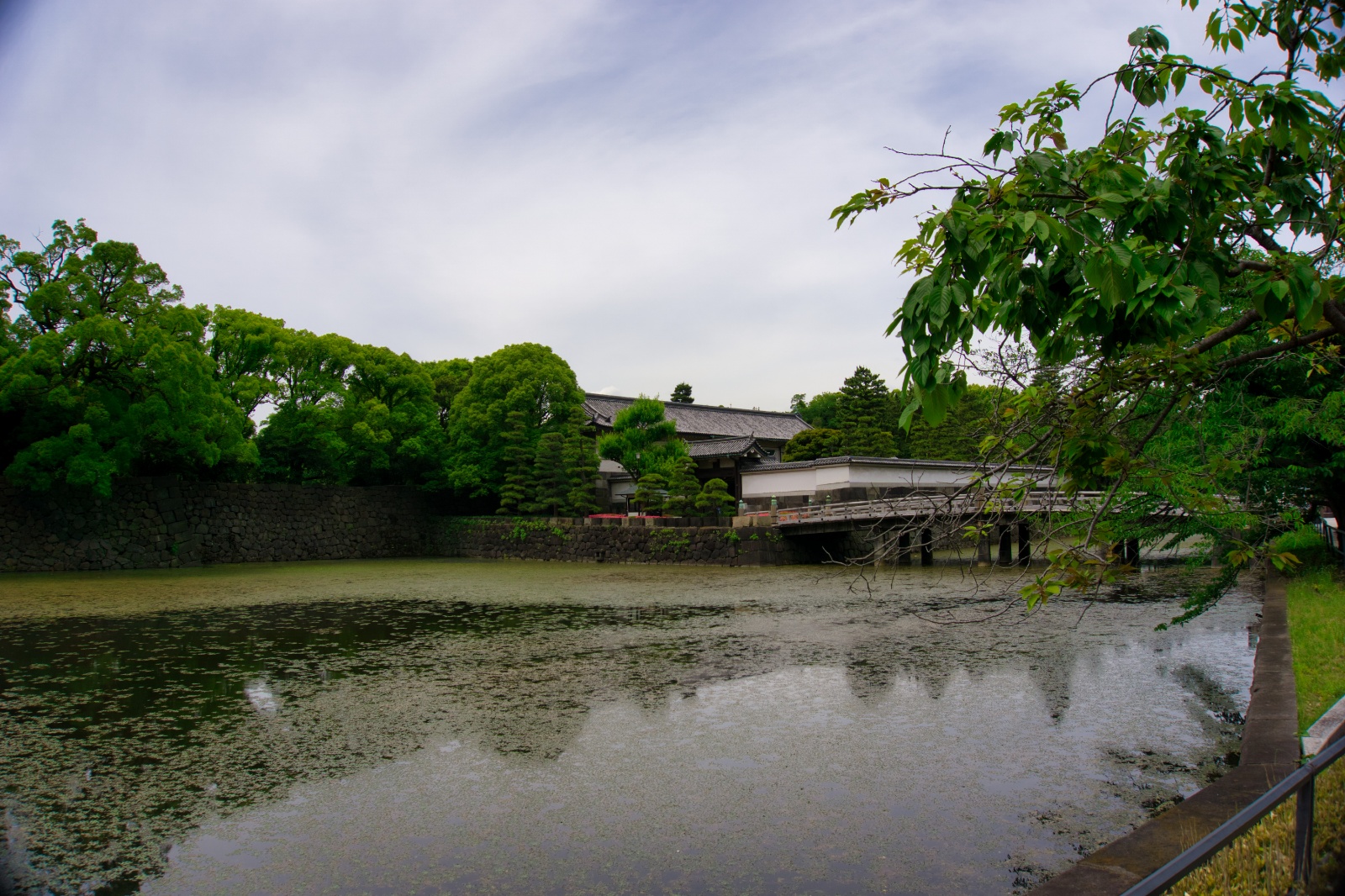 DSC07051