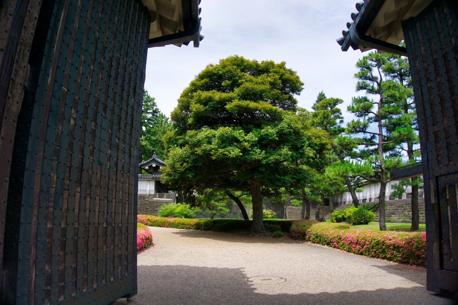 DSC07053