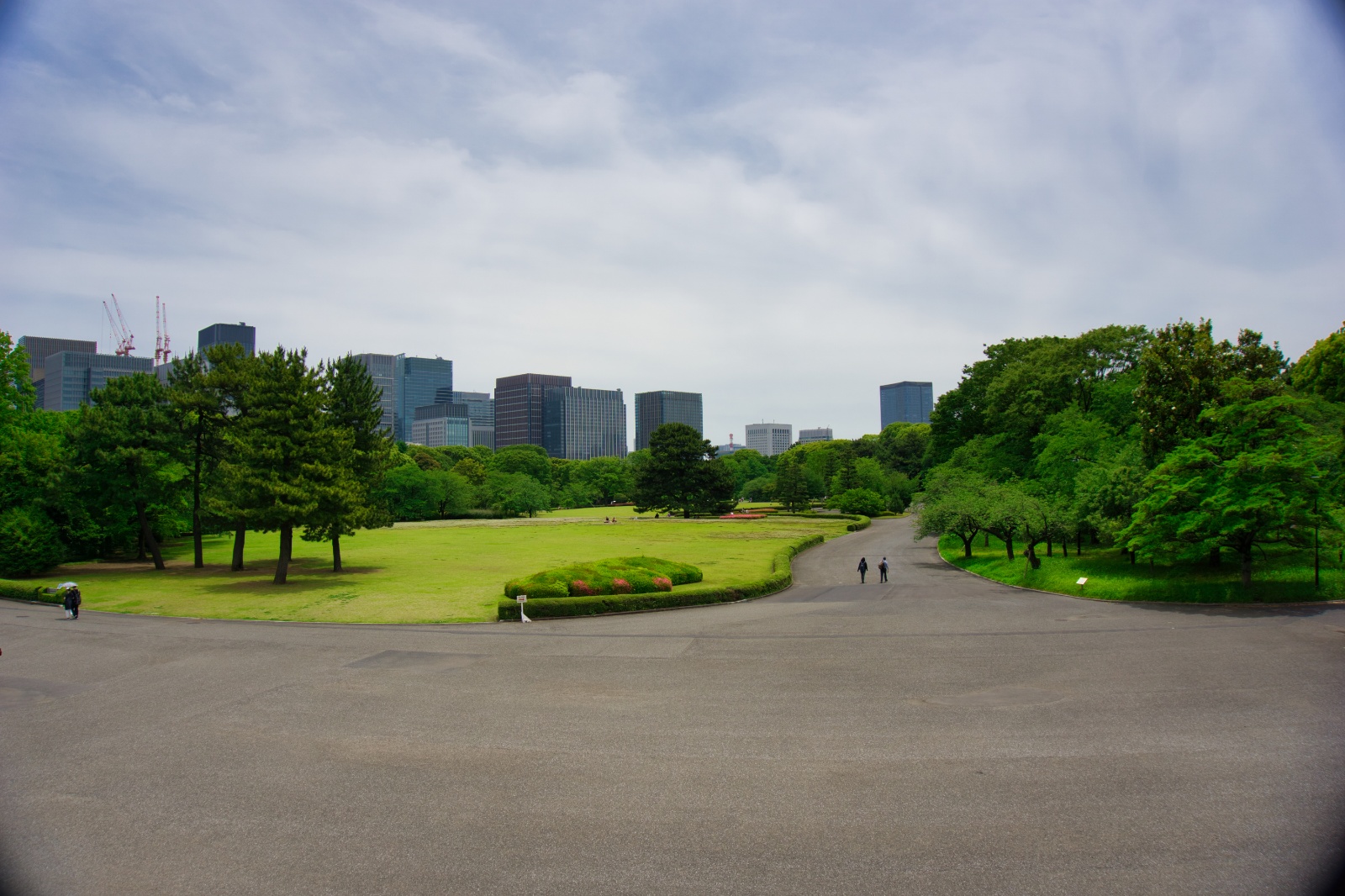 DSC07085