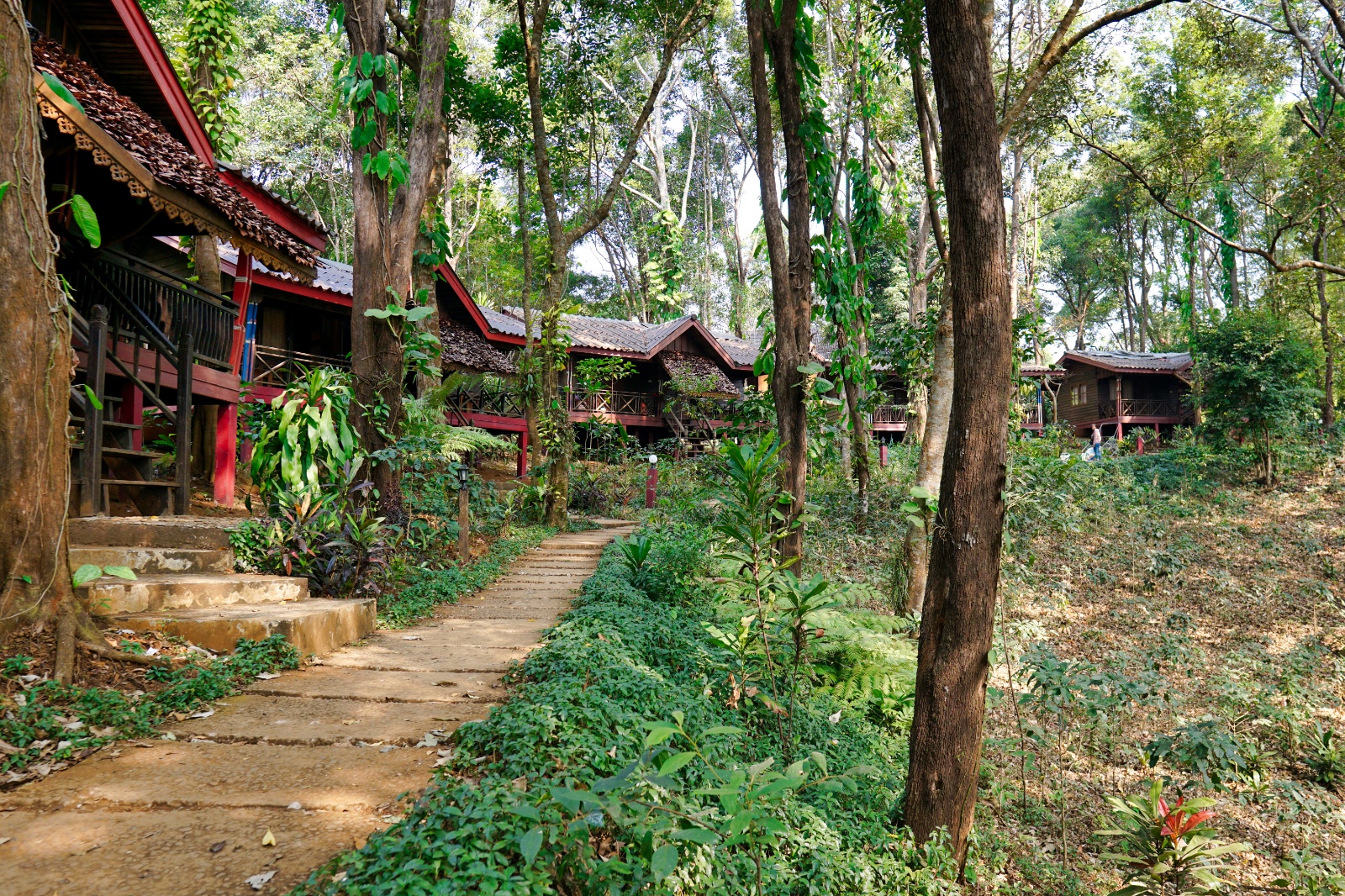 DSC01575