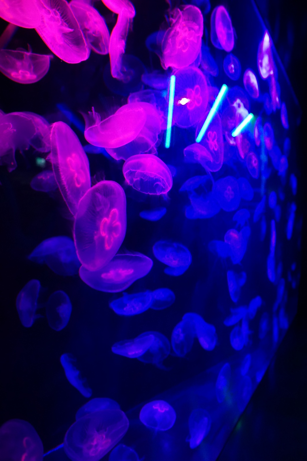 DSC01260