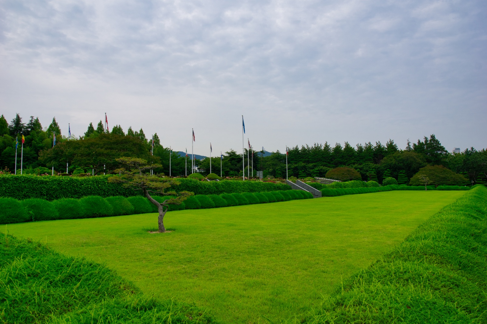 DSC09736