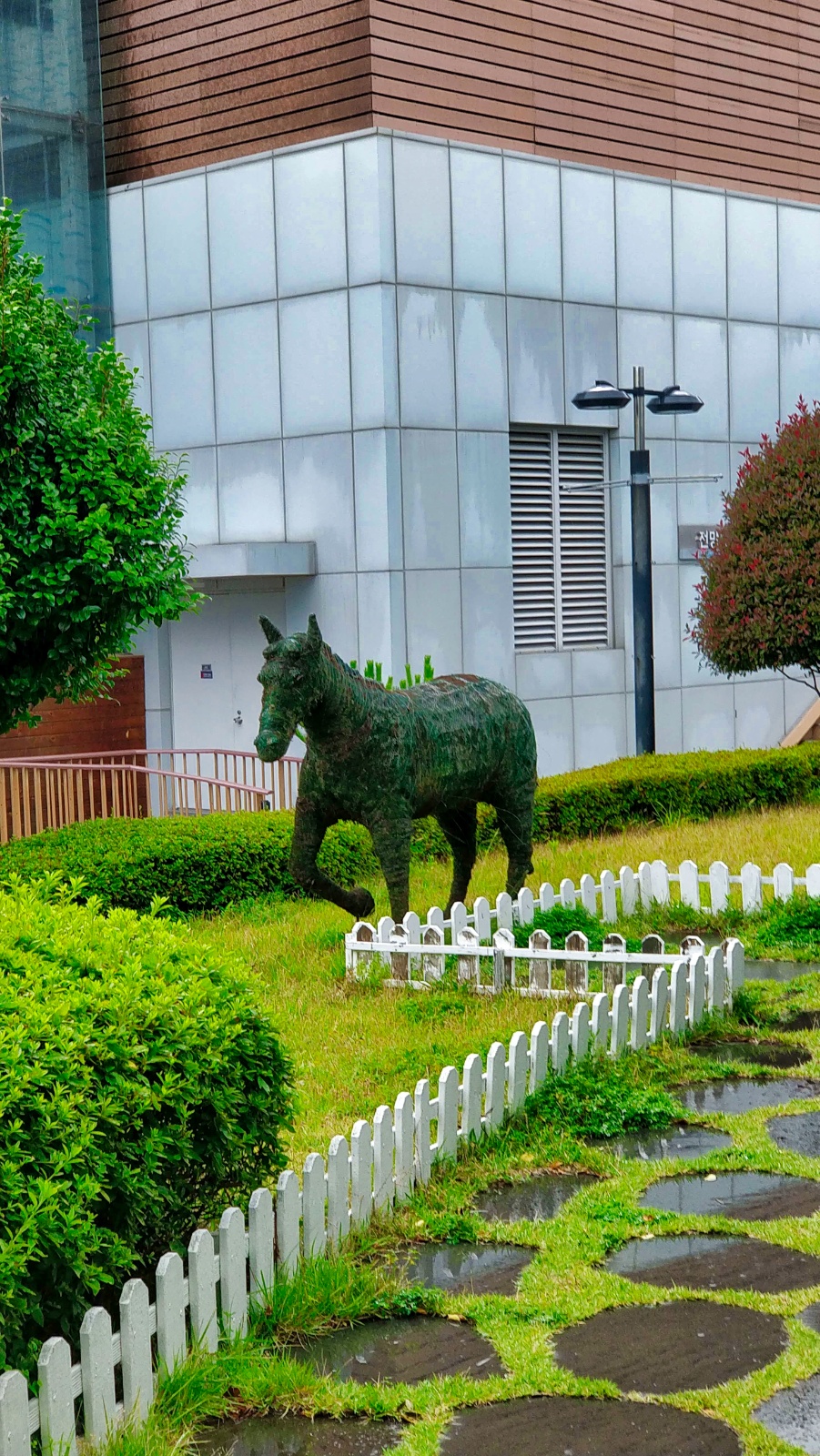 IMG 20190710 143753