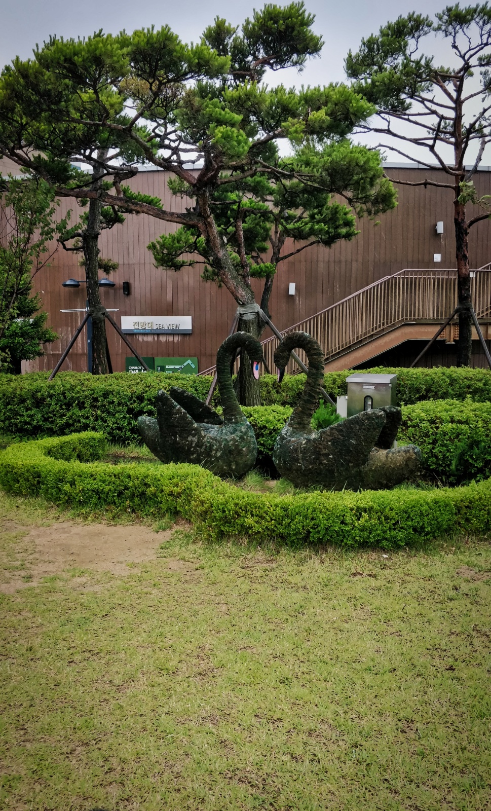 IMG 20190710 143841